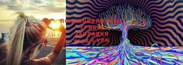 сатива Михайлов