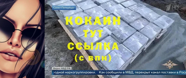 сатива Михайлов